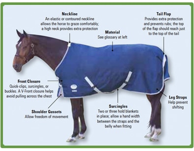 chart control q Equine Q A & SmartPak Blanket chart control q Equine Q A & SmartPak Blanket