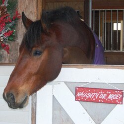 Kellie P and Star Cruiser