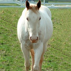 Kellie P and Star Cruiser