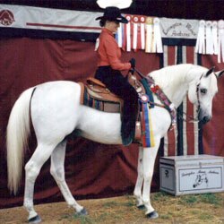 Kellie P and Star Cruiser