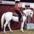 Dawn R. and Jerry L.Livingston Manor Arabians Spotsylvania, VA