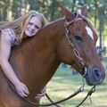 Dawn R. and Jerry L.Livingston Manor Arabians Spotsylvania, VA