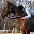 Dawn R. and Jerry L.Livingston Manor Arabians Spotsylvania, VA