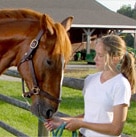 Horses at Home