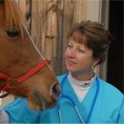 Veterinarians