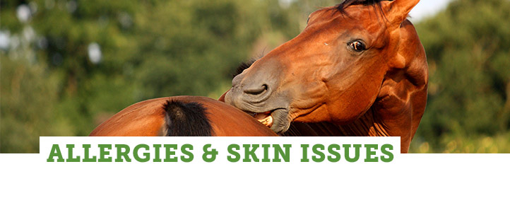 Fly Solutions Smartpak Equine